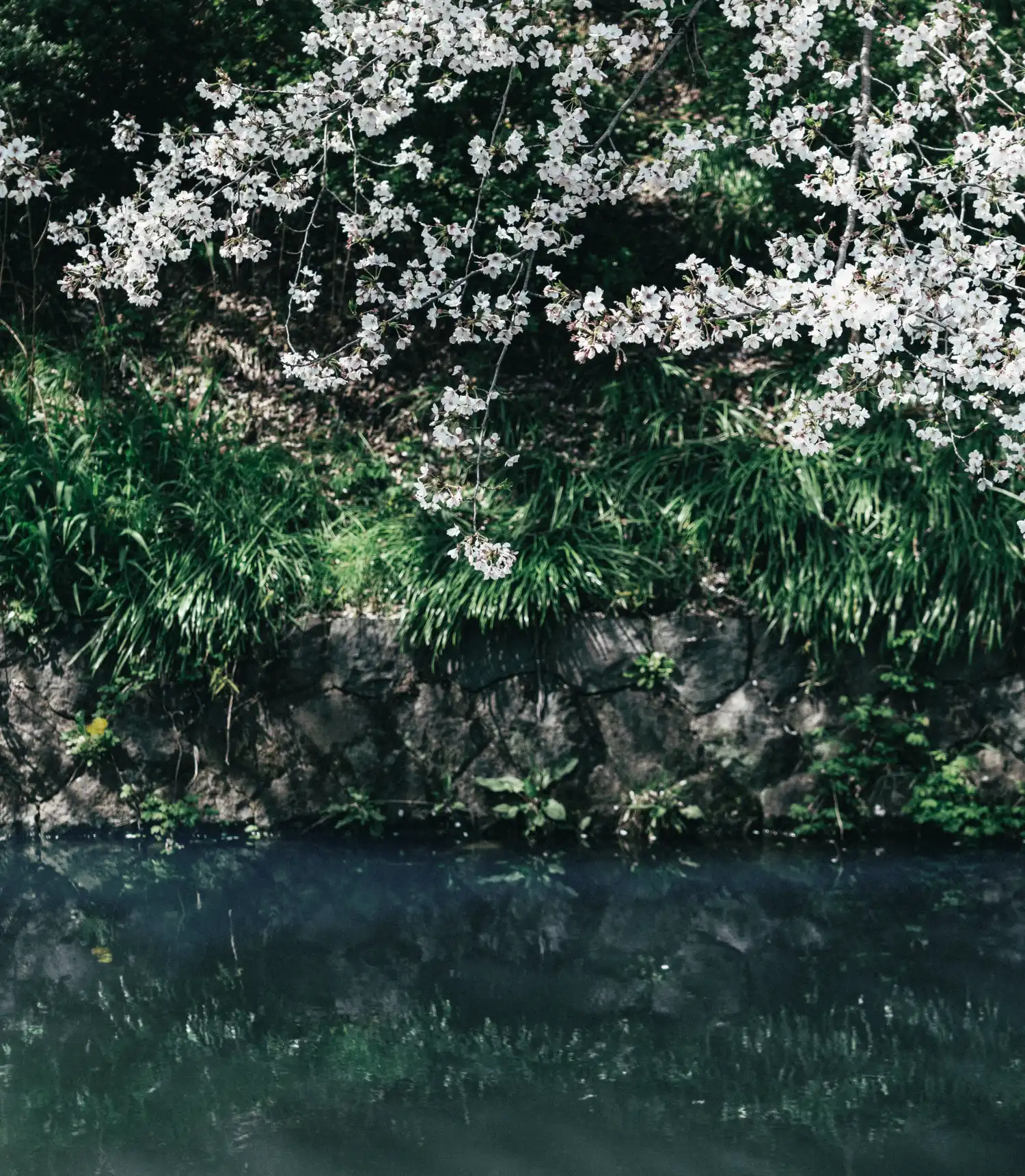 高崎城址（城跡）写真